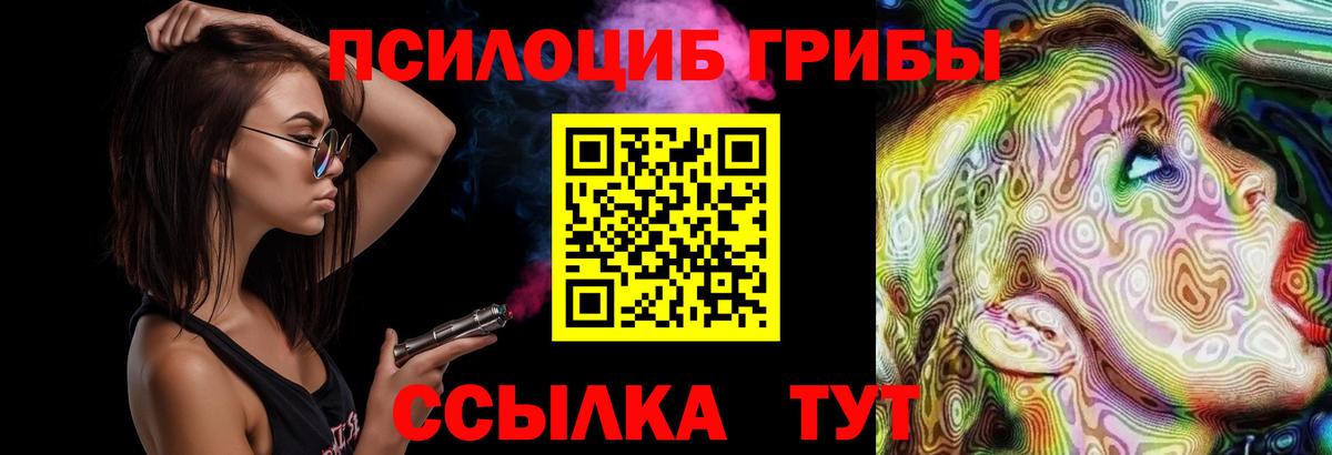 Псилоцибиновые грибы GOLDEN TEACHER  магазин  наркотиков  Вичуга  Вход с VPN 